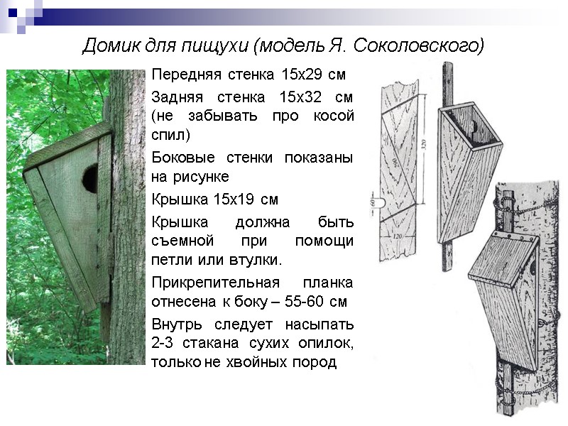 Домик для пищухи (модель Я. Соколовского) Передняя стенка 15х29 см Задняя стенка 15х32 см